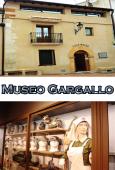 Museo Gargallo